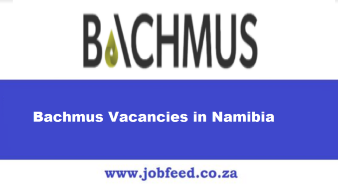 Bachmus Vacancies