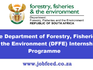 DFFE Internships Programme