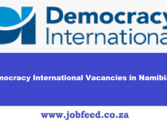 Democracy International Vacancies