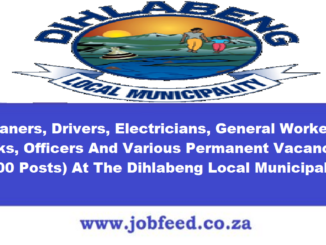 Dihlabeng Local Municipality Vacancies