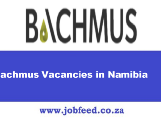 Bachmus Vacancies