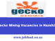 Gecko Mining Vacancies