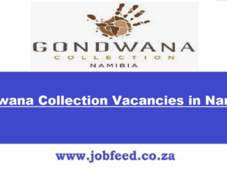 Gondwana Collection Vacancies
