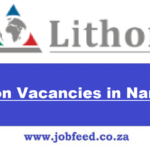 Lithon Vacancies