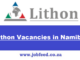 Lithon Vacancies