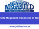 Pupkewitz Megabuild Vacancies