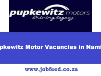 Pupkewitz Motor Vacancies