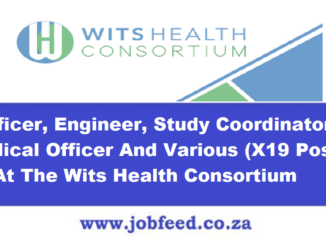 Wits Health Consortium Vacancies