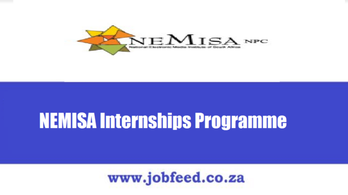 NEMISA Internships Programme
