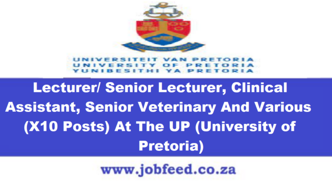 University of Pretoria Vacancies