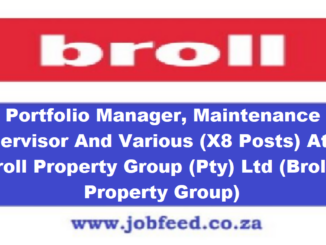 Broll Property Group Vacancies