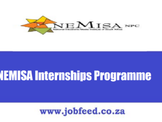 NEMISA Internships Programme
