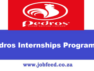Pedros Internships Programme