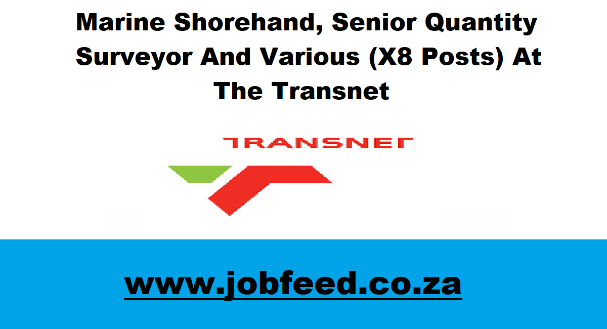 Vacancies 2024 X8 Posts » Jobfeed.co.za