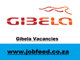 Gibela Vacancies