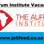 Aurum Institute Vacancies